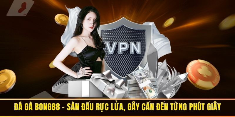 Đá gà Bong88 - Sàn đấu rực lửa, gây cấn đến từng phút giây